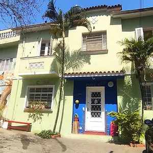 Acca Mariana Brasil